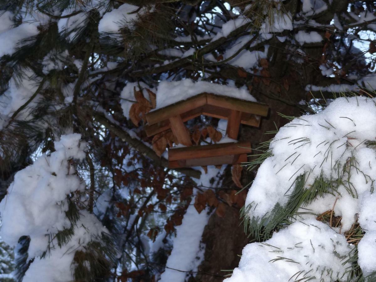 La Fermette Blanche Bed & Breakfast Nadrin Dış mekan fotoğraf